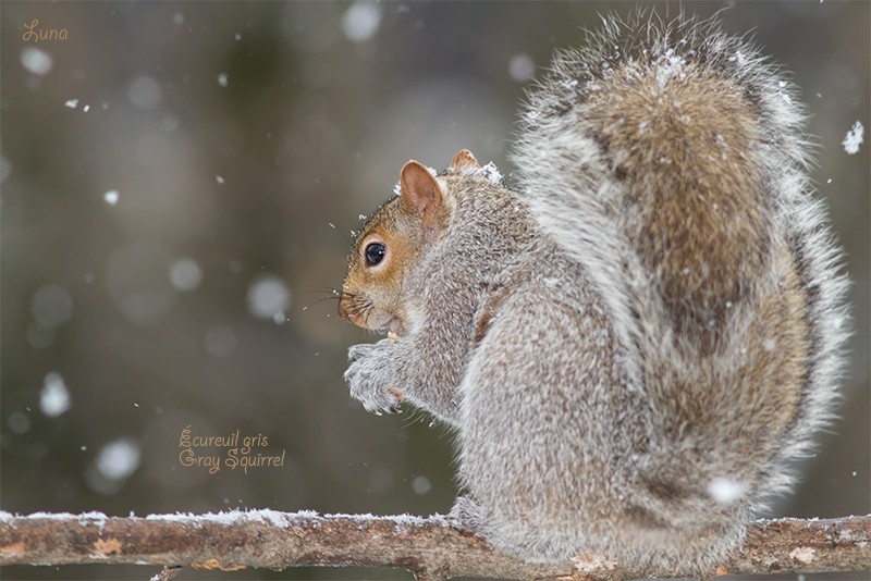 Gros malins! Img_9410