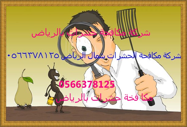 شركة مكافحة الحشرات بشمال الرياض 0554382210  ,,, Ant-ar10