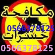شركة رش مبيدات غرب الرياض 0554382210 العليا  Cfi4du11