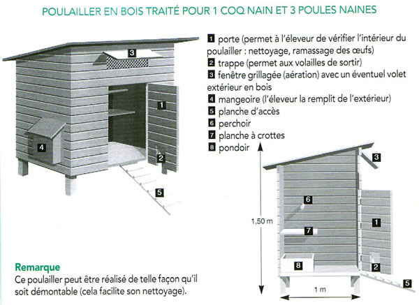 Poulailler expérimental en forêt avec races farouches Poulai11