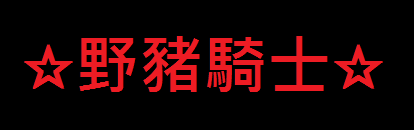 ☆野豬騎士☆_跑跑卡丁車業餘車隊_