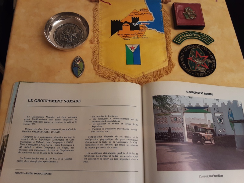Djibouti FAD Groupement Nomade [ insigne ] 20201212