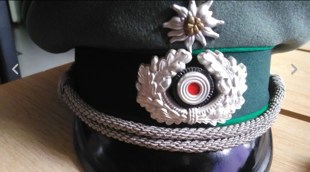Vos avis sur cette casquette officier Gebirs armeekorps !!  Screen70