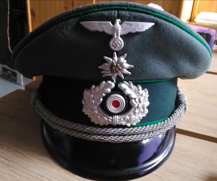 Vos avis sur cette casquette officier Gebirs armeekorps !!  Screen80