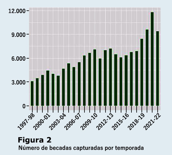 NO CARGA LA IMAGEN