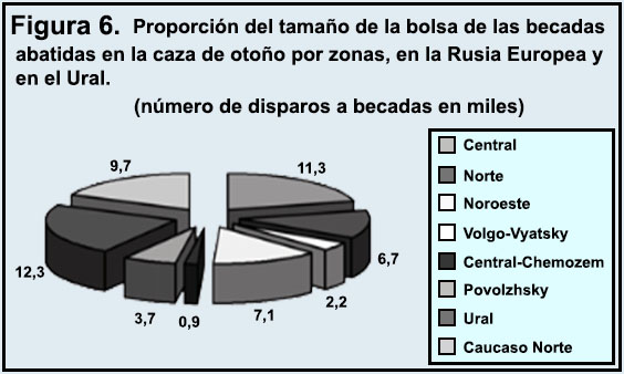 NO CARGA LA IMAGEN