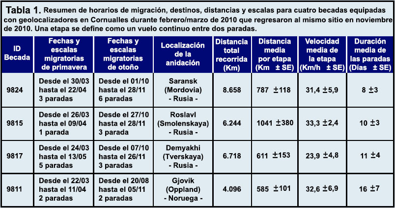 NO CARGA LA IMAGEN