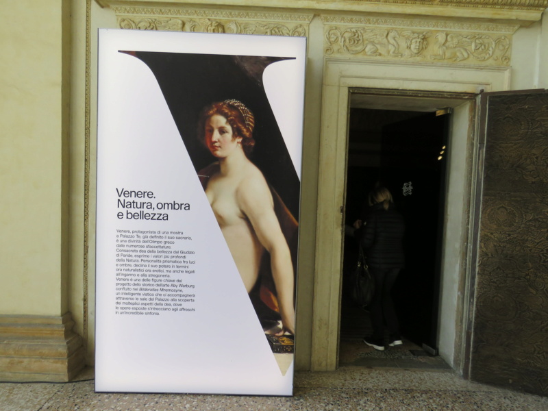 Musei Civici di Palazzo Te - Mantova.  Venere. Natura, ombra e bellezza, dal 12 settembre al 12 dicembre 2021, Img_9710