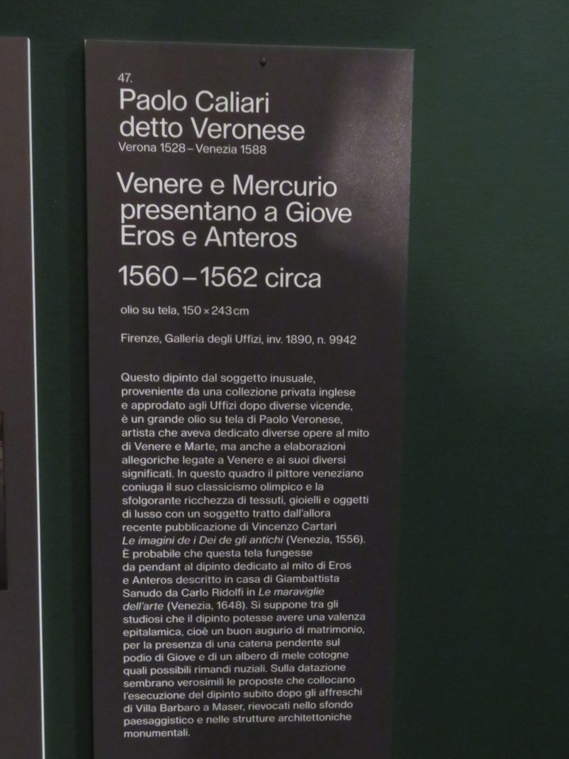Musei Civici di Palazzo Te - Mantova.  Venere. Natura, ombra e bellezza, dal 12 settembre al 12 dicembre 2021, Img_9810