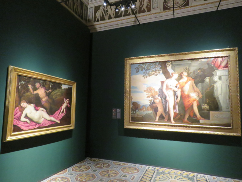 Musei Civici di Palazzo Te - Mantova.  Venere. Natura, ombra e bellezza, dal 12 settembre al 12 dicembre 2021, Img_9811