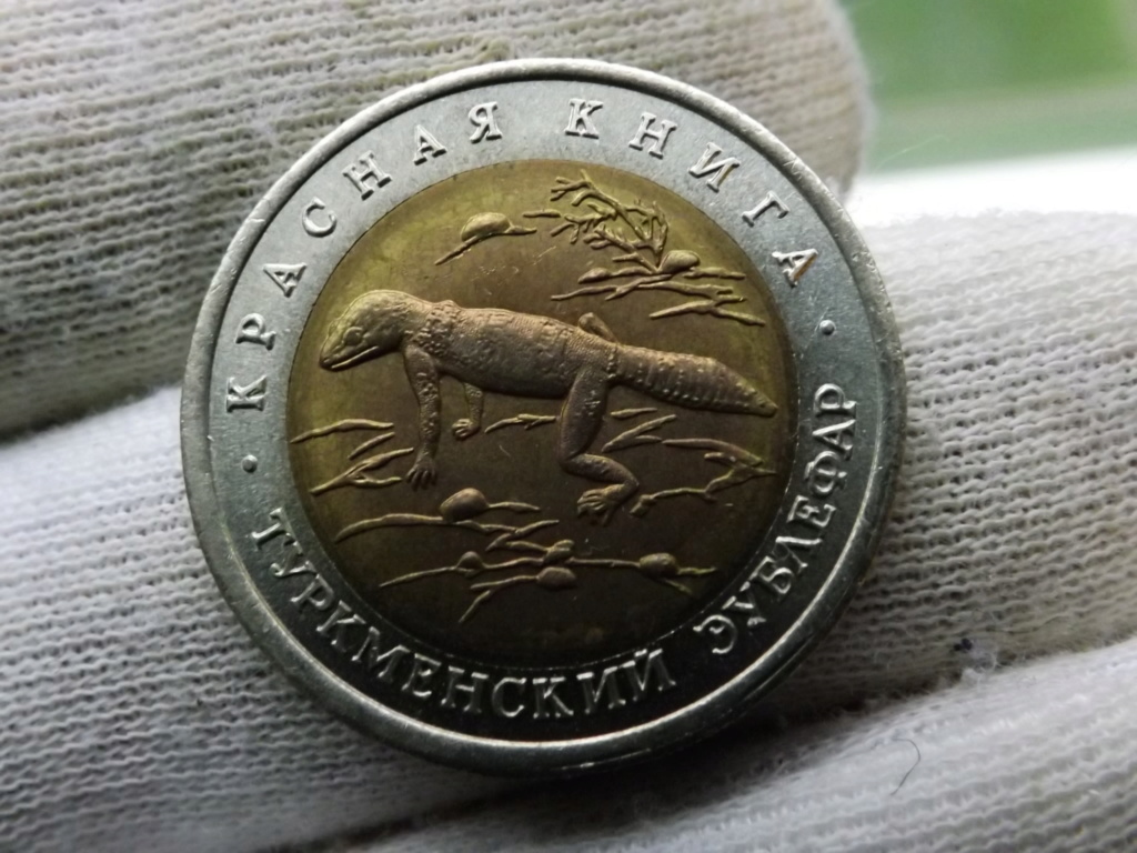 ¡¡Animales!! 50 Rublos de 1.993 gecko, Rusia. Dscf5710