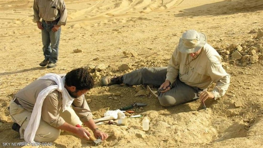 بالصور.. أسرار واكتشافات مثيرة في "وادي الحيتان" المصري 1-140011