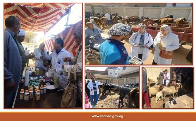 بيطري الشرقية ينظيم قافلة طبية بيطرية مجانية بمدينة منشأة أبو عمر Aaao716
