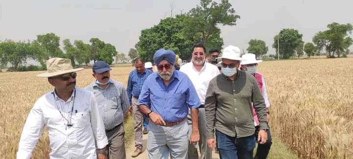 وزير الزراعة واستصلاح الأراضي اعتماد الهند كدولة منشأ لاستيراد القمح Aac38