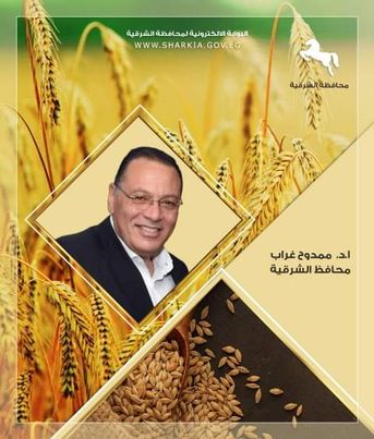 محافظ الشرقية يؤكد استمرار توريد محصول القمح لصوامع التخزين بالمحافظة Aaoo441