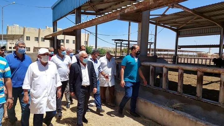محافظ بورسعيد يتفقد محطة تسمين الماشية بجنوب بورسعيد . Aayo24