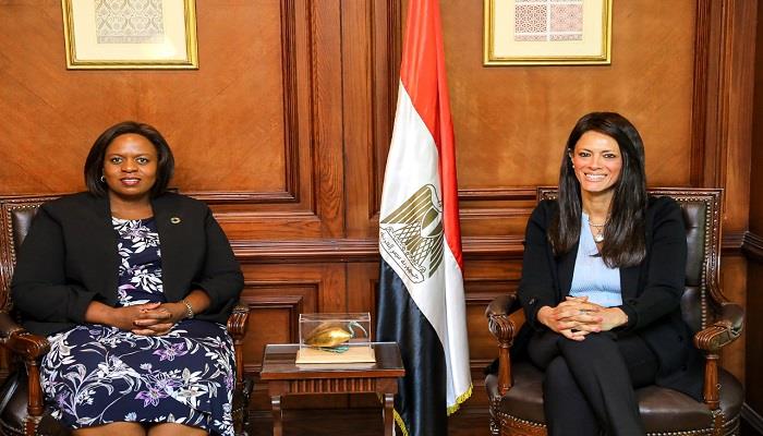 مصر تبحث تعزيز استثمارات القطاع الخاص مع الميثاق العالمي للأمم المتحدة Aio542