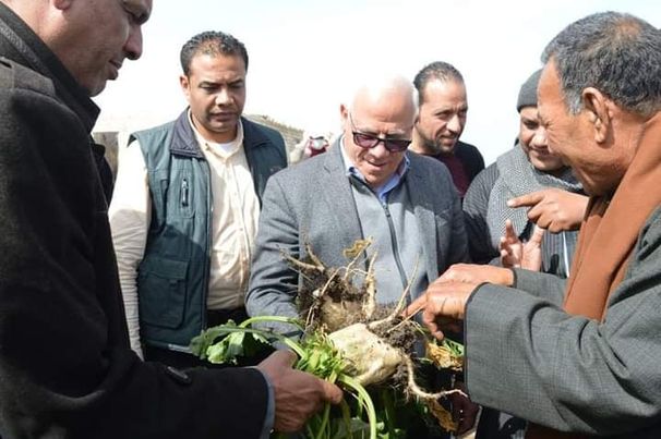 محافظ بورسعيد يشهد حصاد "بنجر السكر" بسهل الطينة Aoay24