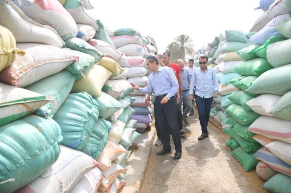 محافظ الغربية يتابع أعمال توريد القمح بشونة محلة أبو علي  Aoioc49
