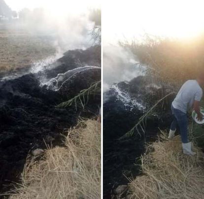 جهاز شؤون البيئة بمحافظة الشرقية يحرر (538) محضر حرق قش أرز Ay157