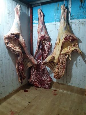 ضبط " طن" من اللحوم غير صالحة للاستهلاك الآدمى خلال حملات رقابية بمراكز المنيا Ayia34