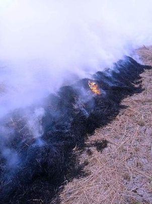 جهاز شؤون البيئة بمحافظة الشرقية يحرر 56 محضر حرق قش أرز Ayoa147