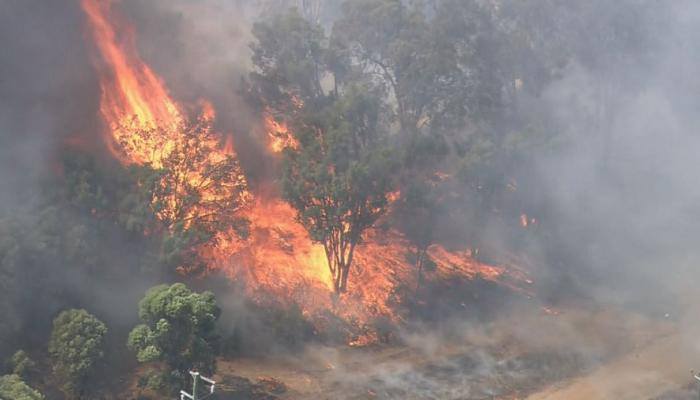الحماية المدنية تتمكن من إخماد حريق بمزرعة نخيل في الوادي الجديد Ayoa63