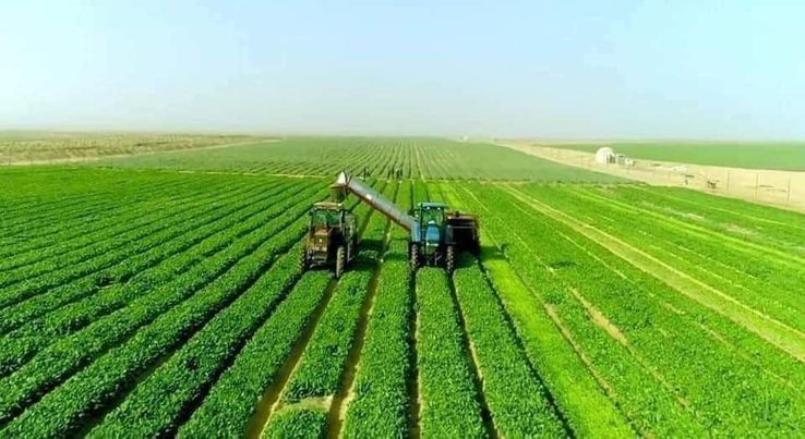 مشروع توشكى  يتحول إلى أكبر مشروع  استصلاح زراعى  فى الشرق الأوسط Oiao12