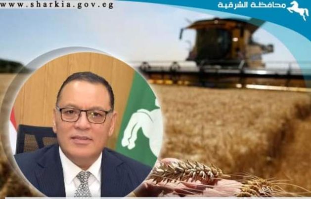 إنتظام أعمال توريد محصول القمح لشون وصوامع محافظة الشرقية Oioc21