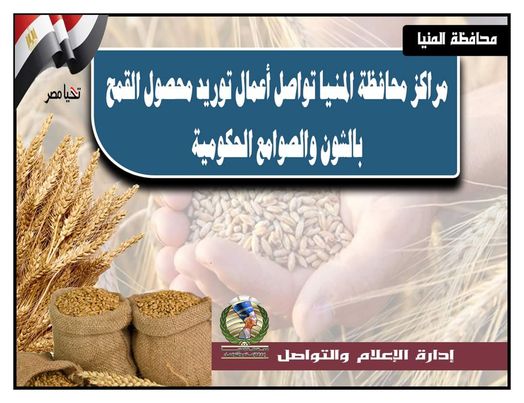  شون وصوامع المنيا تستقبل 229 ألف طن من محصول القمح  Yyo227