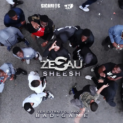 ZESAU-Sheesh-SINGLE-WEB-FR-2020-H5N1 00-zes11