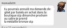 [ Nomade59 ] Achat de l'article : Gilet pare-balles 815