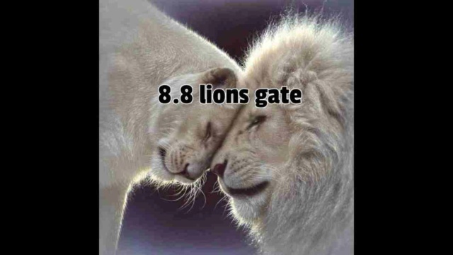 Брэдли Любящий  ПОЧЕМУ ВСЕ НЕ СТАНОВИТСЯ ЛУЧШЕ – ЧАСТЬ ПЕРВАЯ Lions-10