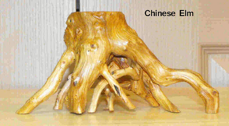 root stand with mini bonsai Chines12