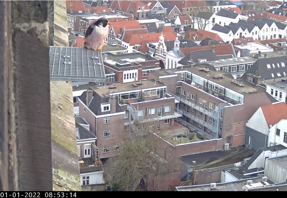 2022 - Amersfoort/OLV toren. 2021/2022 A_foor46