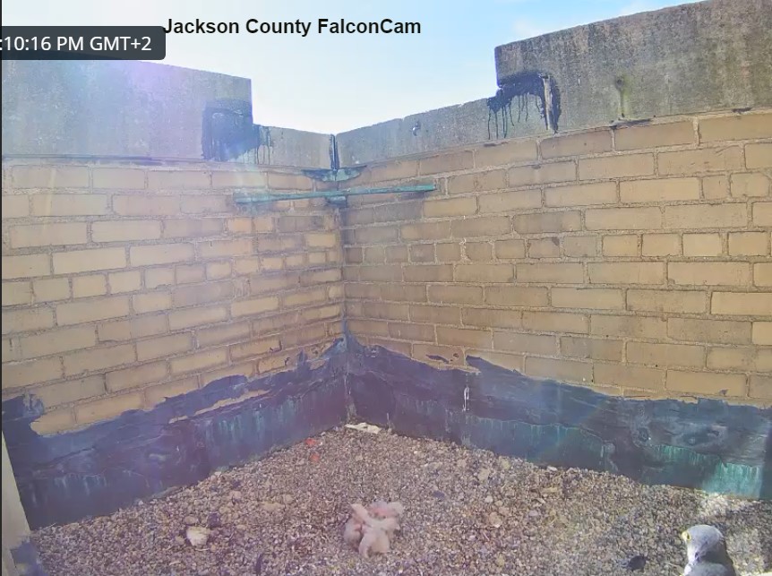 Jackson County Jackso11