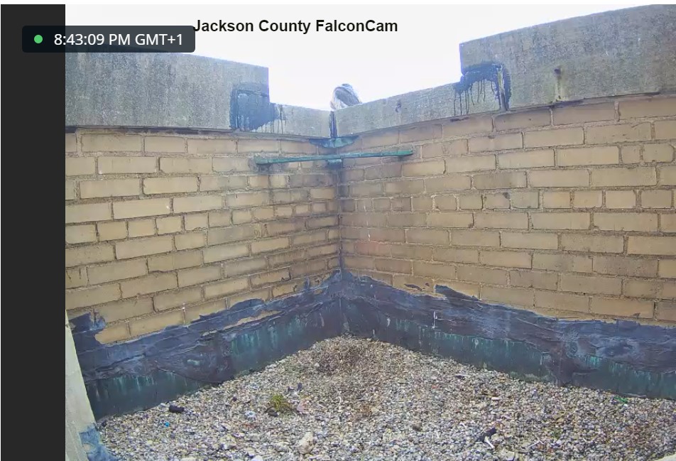 Jackson County Jackso14