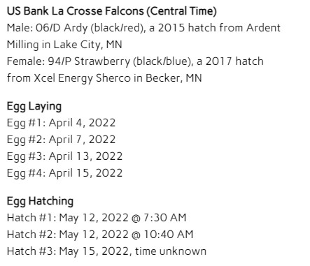 US Bank La Crosse Falcons La_cro24