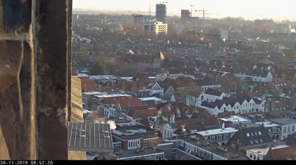 Amersfoort/OLV toren. Joris en V (1PF) Valk_a35