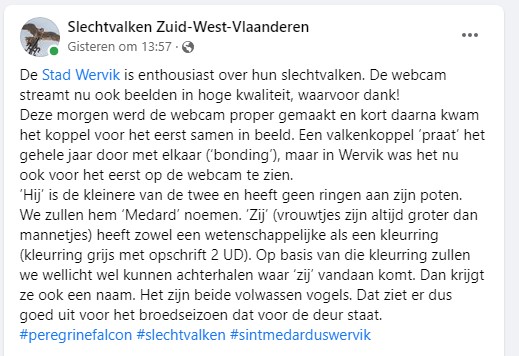 Wervik/Sint-Medardus Werwik10