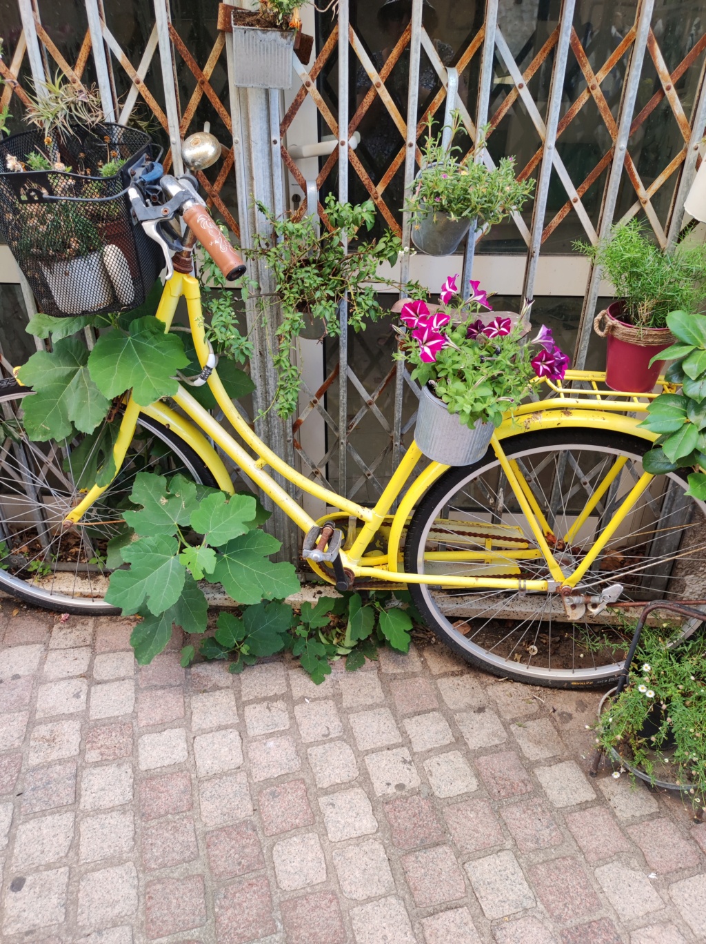 VOYAGE EN BALAGNE HAUTE CORSE - Page 2 Velo_f10