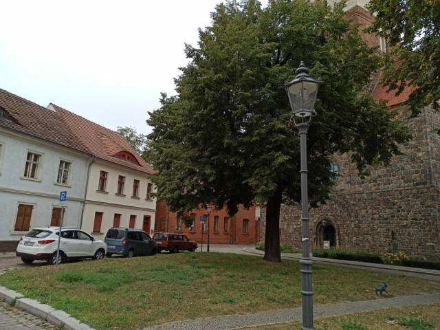 Excursion à partir de Berlin : visite de la ville de Brandenburg /Havel Brande67