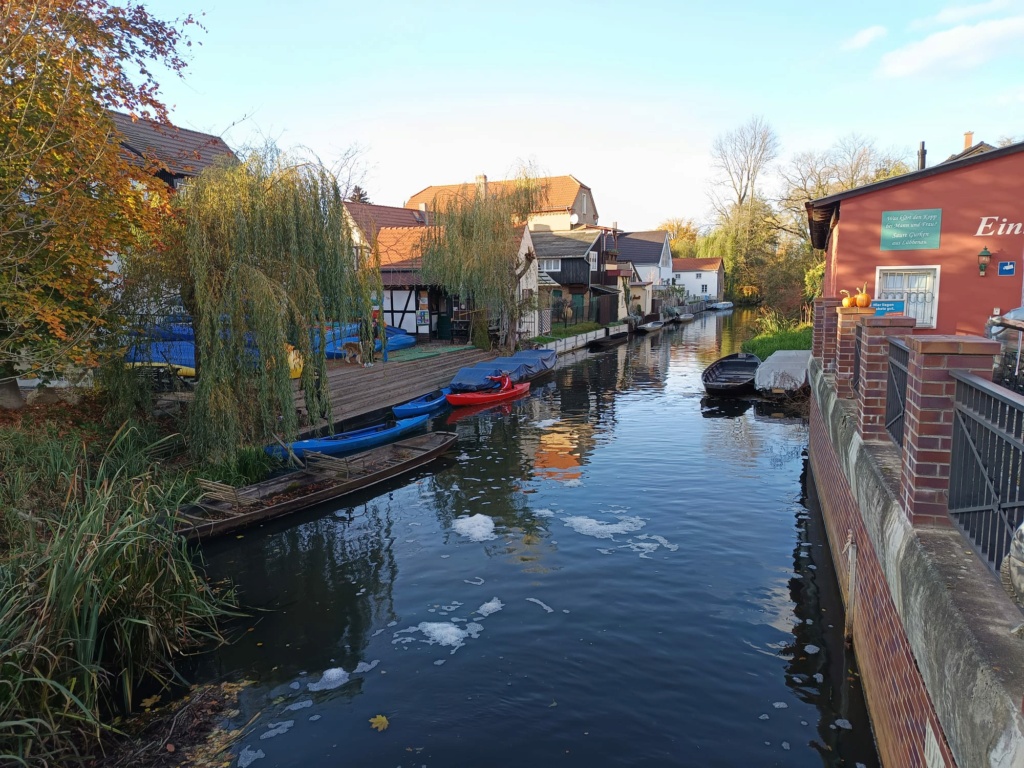 Découverte du Spreewald - Lübben - Lübbenau (excursion à partir de Berlin) Lzbben74