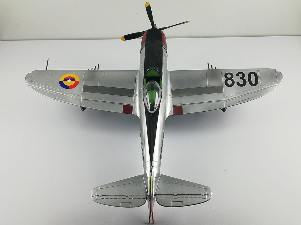 P-47 D Thunderbolt - FAC 830 - 1/48 Img_2013