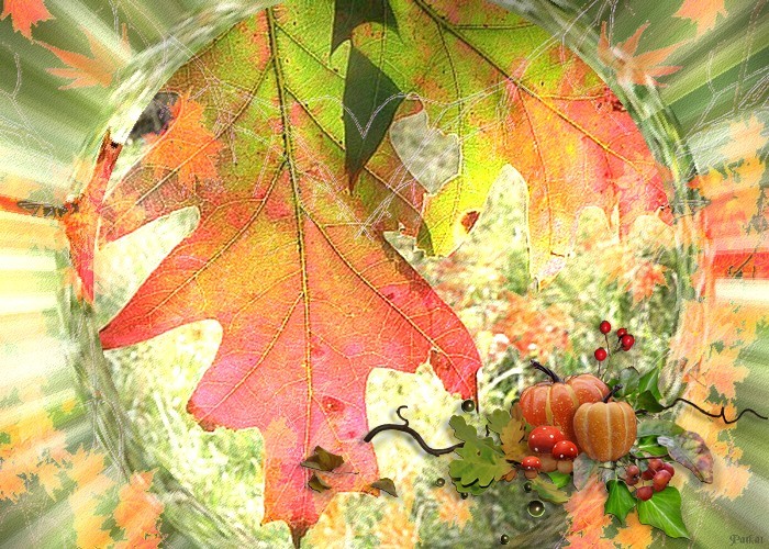 "Fond décoré le thème l'automne" Fond_a18
