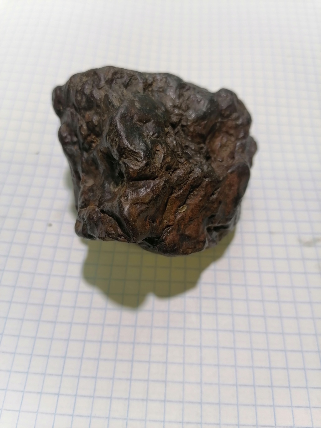 Meteorite?  Img_2298