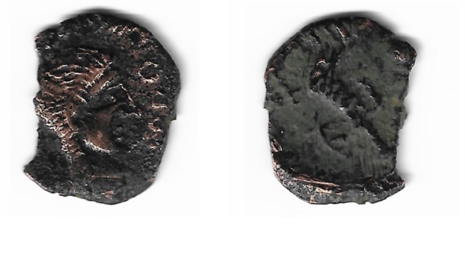  Semis de Irippo.  Moneda12