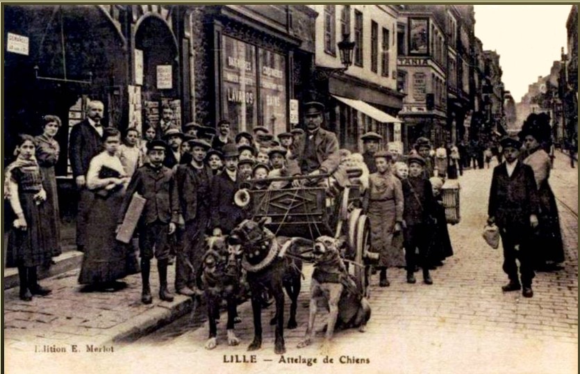 COLLECTIONS DE CARTES POSTALES DE LILLE 1900 Lille_12