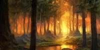 Forêt de Suhei
