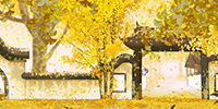Domaine Gedo Shiroma
